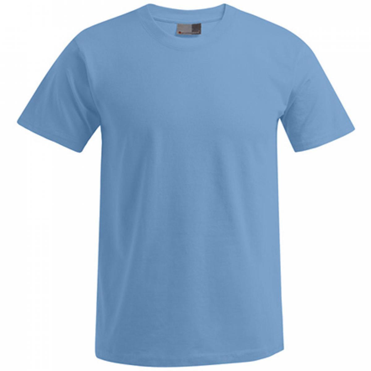 Hersteller: Promodoro Herstellernummer: 3000/3099 Artikelbezeichnung: Men´s Premium Herren T-Shirt - bis 5XL Farbe: Alaskan Blue