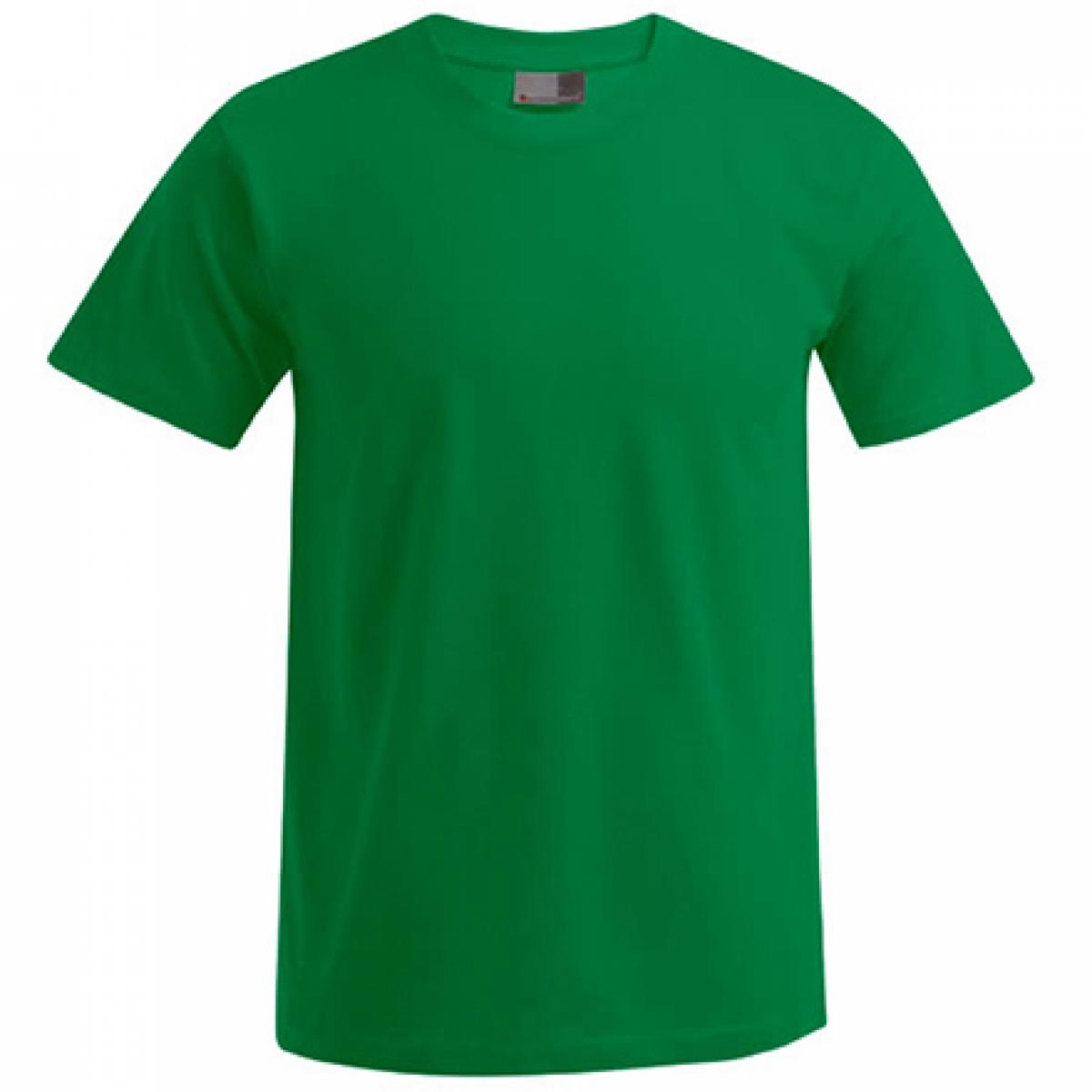 Hersteller: Promodoro Herstellernummer: 3000/3099 Artikelbezeichnung: Men´s Premium Herren T-Shirt - bis 5XL Farbe: Kelly Green