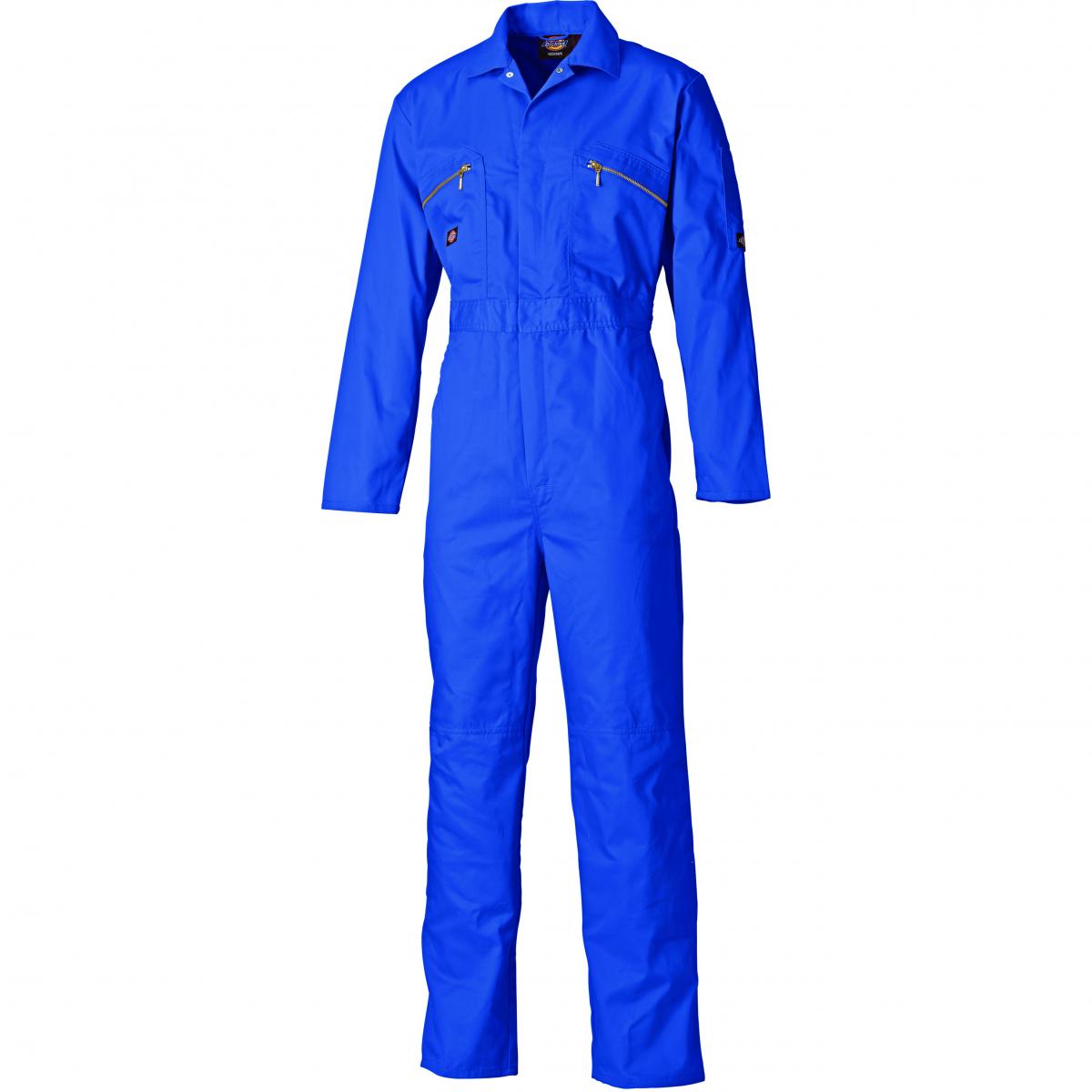 Hersteller: Dickies Herstellernummer: WD4839J Artikelbezeichnung: Redhawk Junior-Overall für Kinder und Jugendliche Farbe: Königsblau